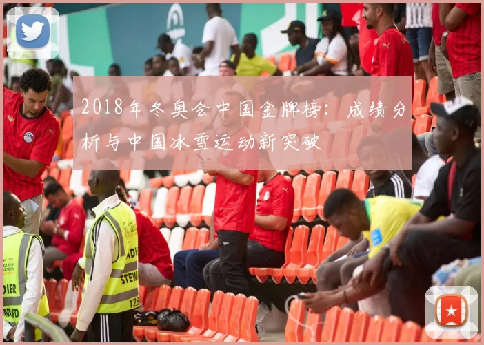 2018年冬奥会中国金牌榜：成绩分析与中国冰雪运动新突破