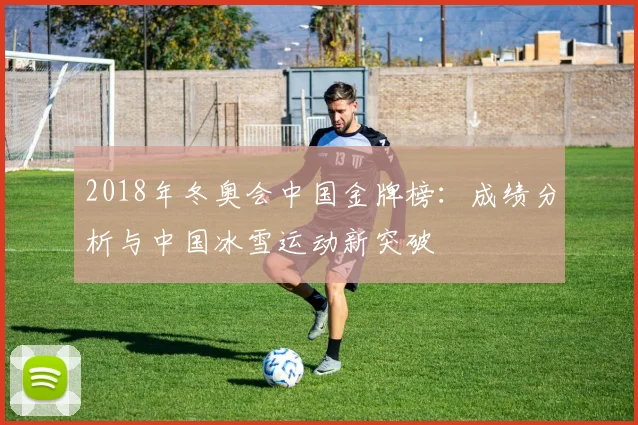 2018年冬奥会中国金牌榜：成绩分析与中国冰雪运动新突破