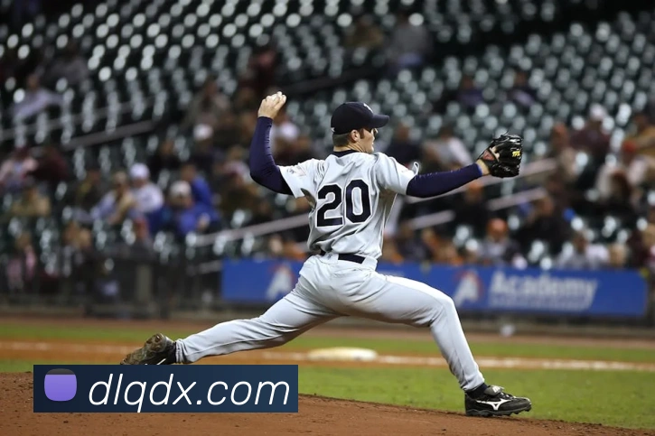 星空体育首页官网APP 高清赛事图